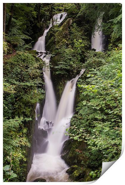  Stock Ghyll Print by James Grant