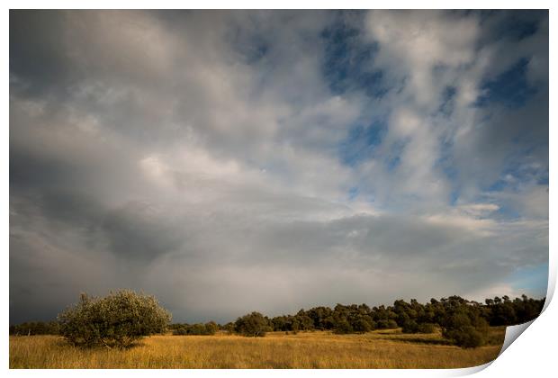 Birchen Edge Stormy Skies Print by James Grant