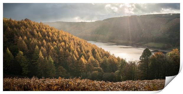 Abbey Bank Autumn  Print by James Grant