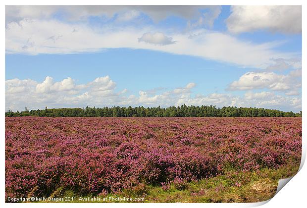 New Forest Heather Print by kelly Draper