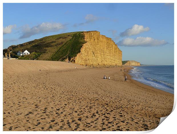 Sandstone Cliffs at West Bay Print by Phil English