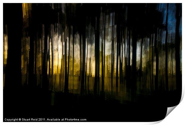 Tree Abstract (drop pan) Print by Stuart Reid