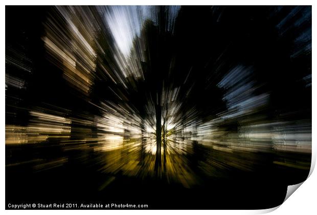 Tree Abstract zoom burst Print by Stuart Reid