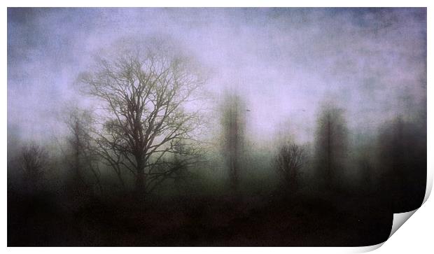 misty morning 2 Print by Heather Newton