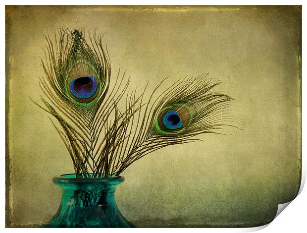 peacock feathers and vase Print by Heather Newton