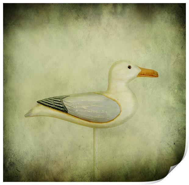 wooden seagull Print by Heather Newton