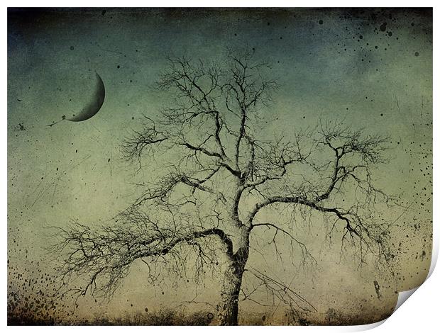 beneath a dark moon Print by Heather Newton
