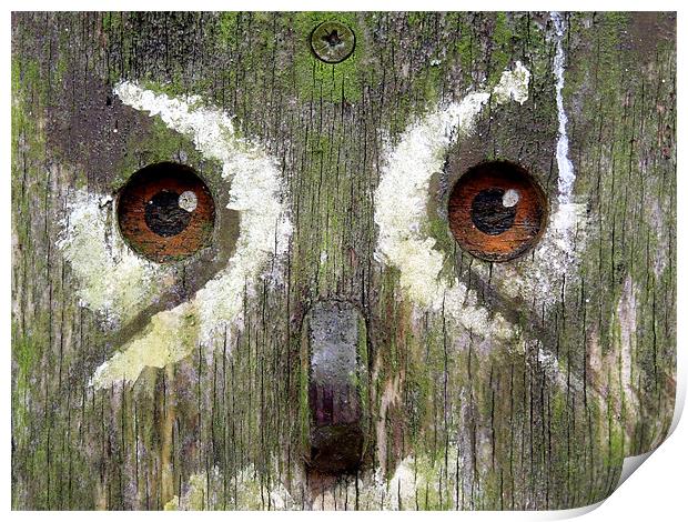 wooden owl Print by Heather Newton
