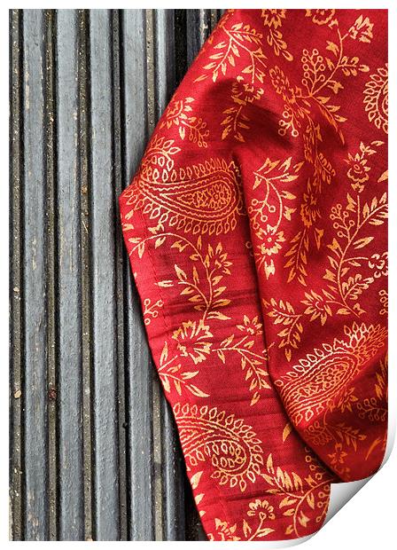 red sari Print by Heather Newton