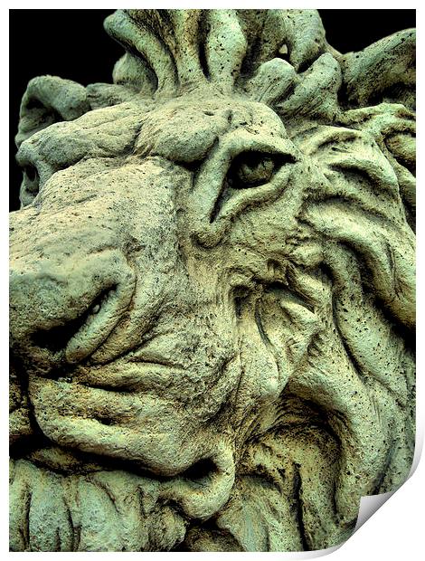 stone lion Print by Heather Newton
