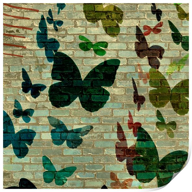 butterflies and bricks Print by Heather Newton