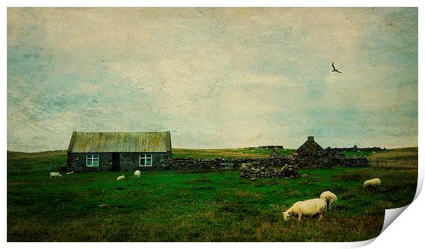 Shetland landscape Print by Heather Newton