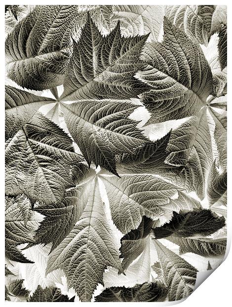 scattered leaves Print by Heather Newton