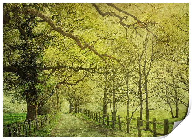 walking in the sunlight Print by Heather Newton