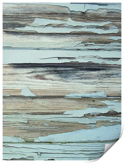 peeling paint - seaside blues Print by Heather Newton