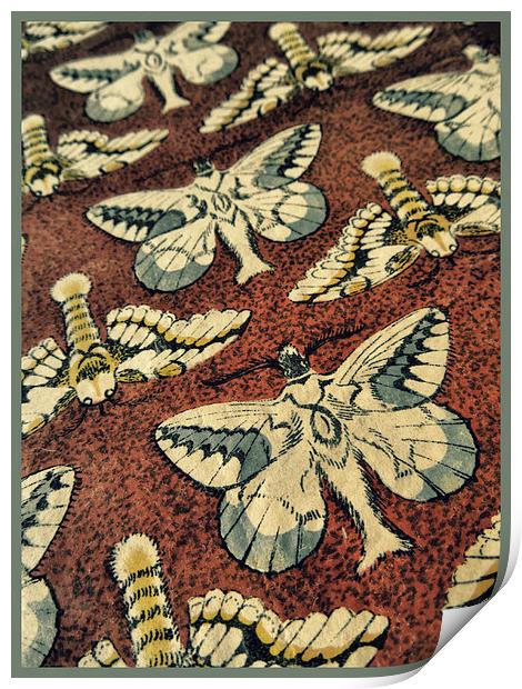 book of moths Print by Heather Newton