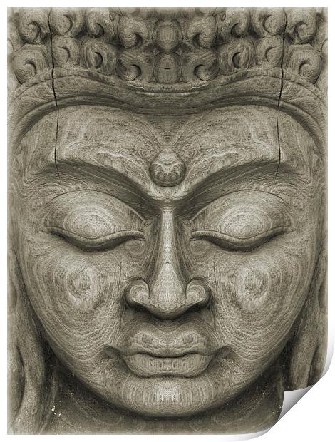 the face of serenity Print by Heather Newton