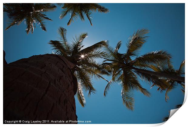 Sunshine through Palm Trees Print by Craig Lapsley