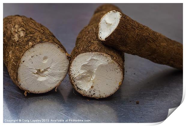 yuca roots on the kitchen table Print by Craig Lapsley