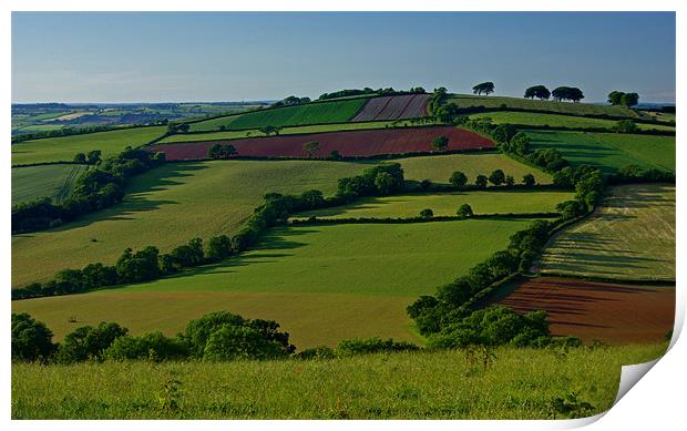 Fields and Hedgerows Print by Pete Hemington