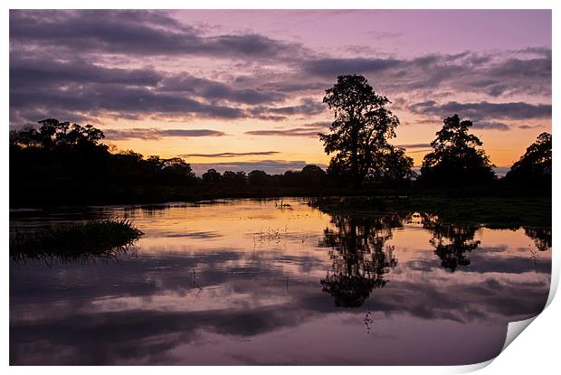 River Culm at Columb John Print by Pete Hemington