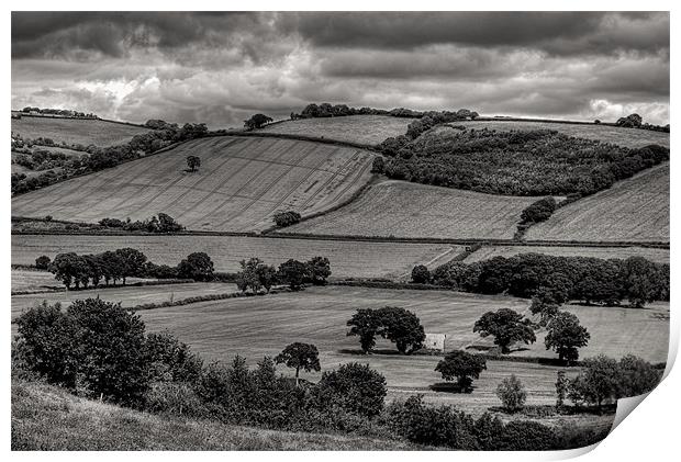 Field Mid Devon Print by Pete Hemington
