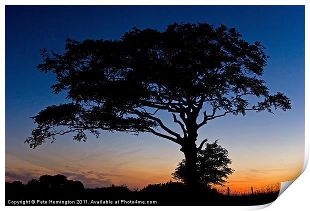 Oak on Raddon Top Print by Pete Hemington