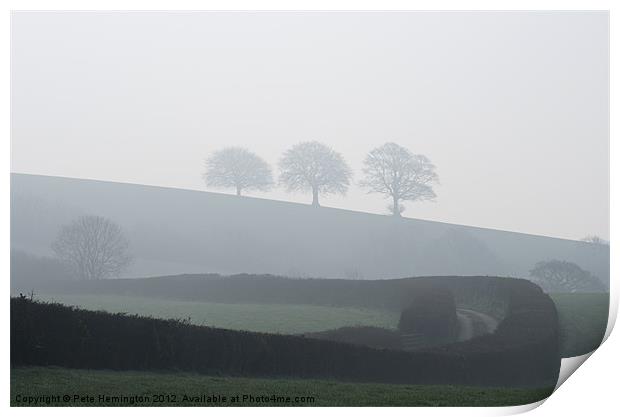 Three trees in the mist Print by Pete Hemington