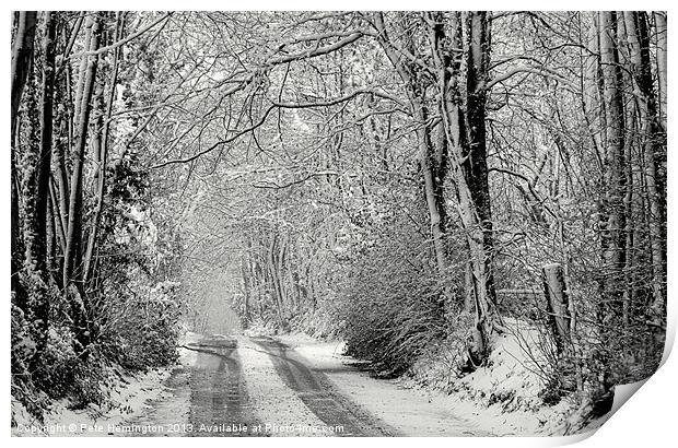 Snowy lane - in mono Print by Pete Hemington