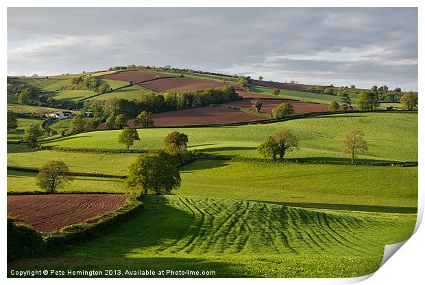 Devon Rural scene Print by Pete Hemington