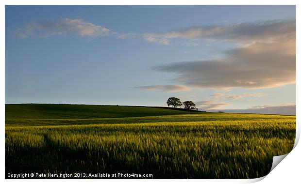 Harvest promise Print by Pete Hemington