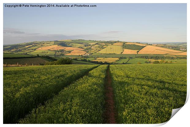 The Exe valley in Mid Devon Print by Pete Hemington