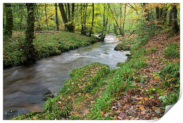  River Teign near Fingle Bridge Print by Pete Hemington