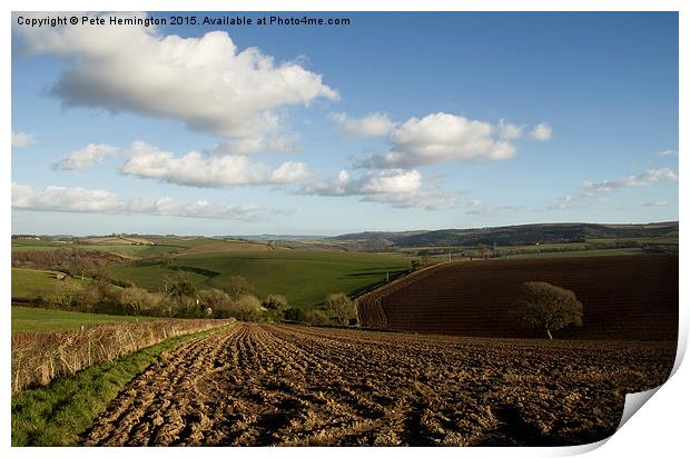  Rural view near Cheriton Bishop Print by Pete Hemington
