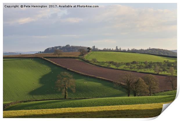 Hele Payne Farm Mid Devon Print by Pete Hemington