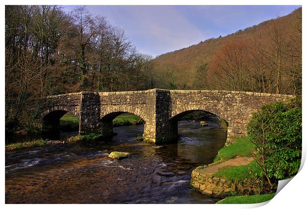 Fingle bridge - Dartmoor Print by Pete Hemington