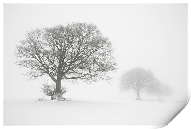 Three trees Print by Pete Hemington