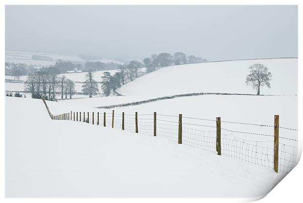 Snowy fields Print by Pete Hemington