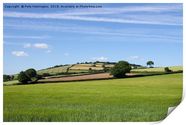 Rural Devon Scene Print by Pete Hemington