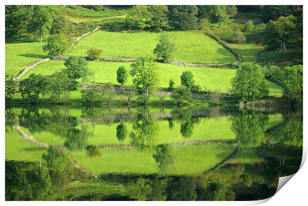 Reflections on Rydal Water Print by Pete Hemington