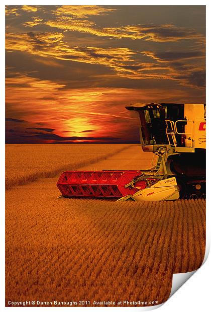 Harvest Summer Sunset Print by Darren Burroughs
