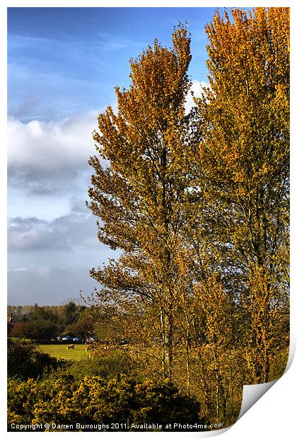 Golden Autumn In Suffolk Print by Darren Burroughs
