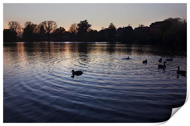 Sunset On Diss Mere Print by Darren Burroughs