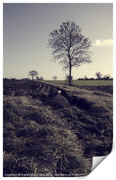 Norfolk Farming Print by Darren Burroughs