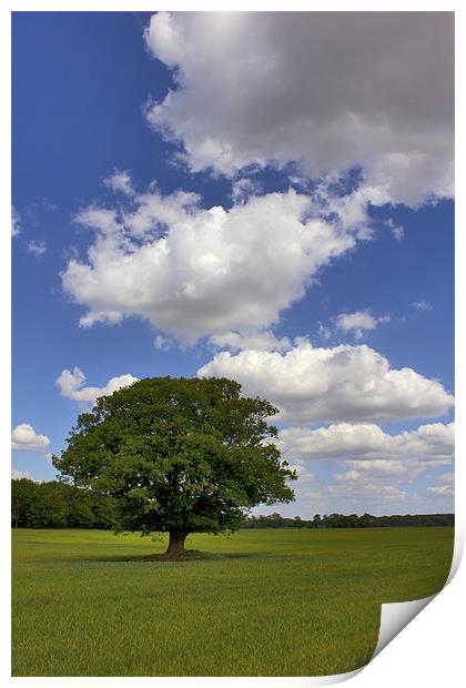 Cloudbusting Print by Darren Burroughs