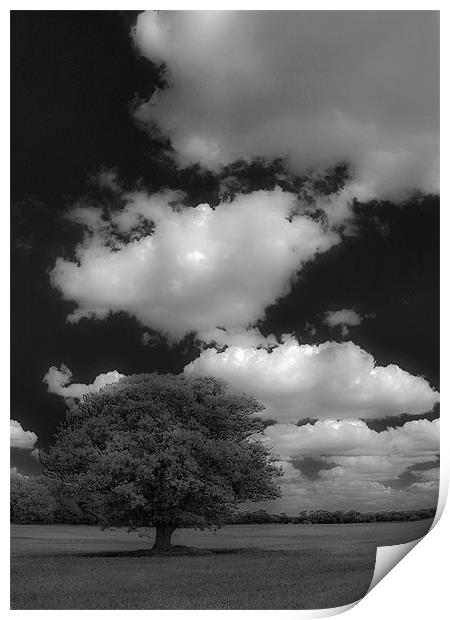Cloud Busting Print by Darren Burroughs