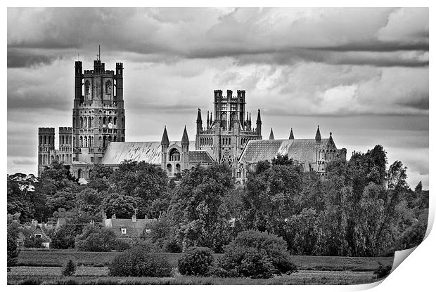 Ely Cathedral Print by Darren Burroughs
