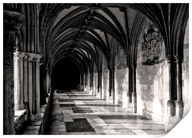 The Cloisters Norwich Cathedral Print by Darren Burroughs