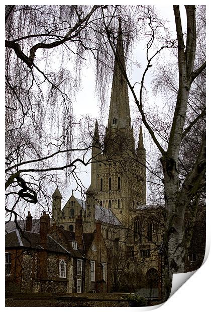 View to Norwich Cathedral Print by Darren Burroughs