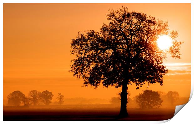 A Rural Norfolk Sunrise Print by Darren Burroughs